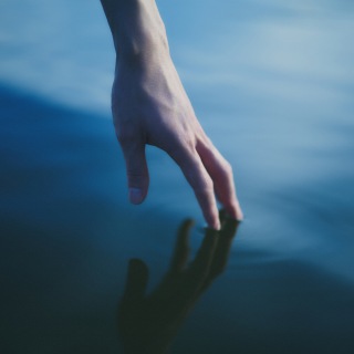 海鳴り / ARTIST